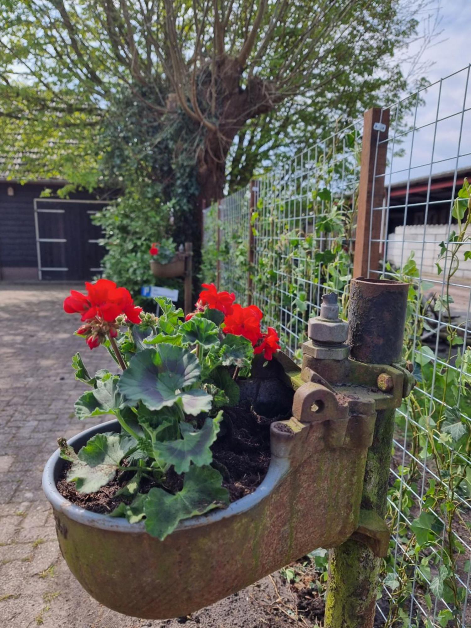 SmildeDe Schotse Hooglander住宿加早餐旅馆 外观 照片