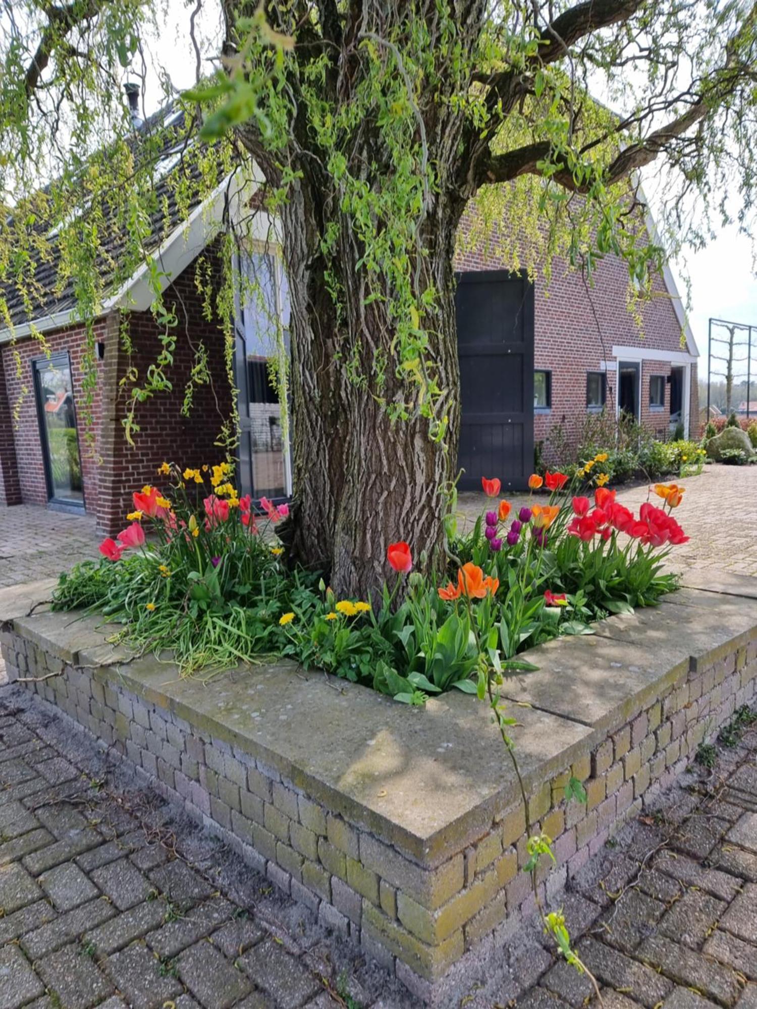 SmildeDe Schotse Hooglander住宿加早餐旅馆 外观 照片